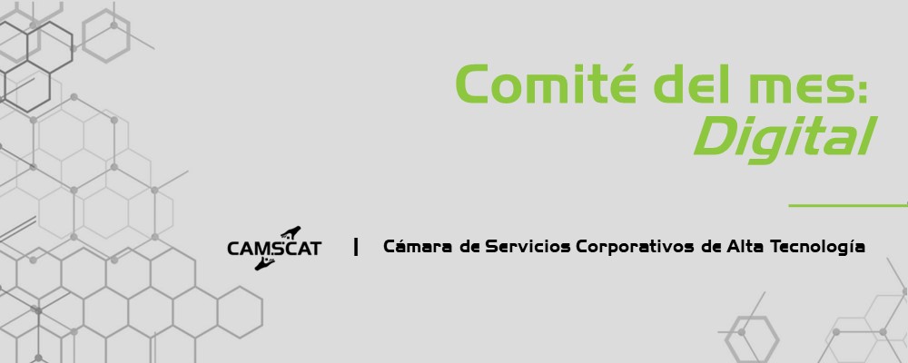 Equipo destacado del mes: Comité Digital